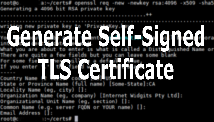 Generate Self-Signed TLS Certificate