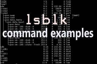 6 Linux lsblk command examples
