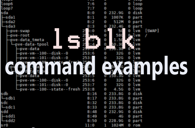 Linux lsblk command examples