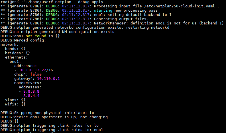 netplan --debug apply