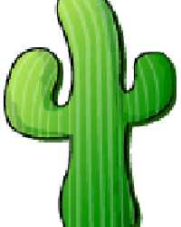 cacti