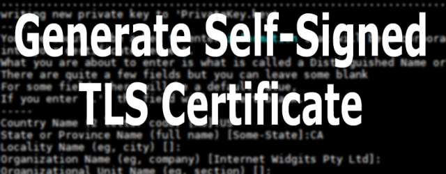 Generate Self-Signed TLS Certificate