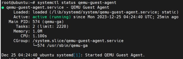 QEMU Guest Agent check status