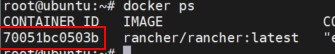 get docker container id